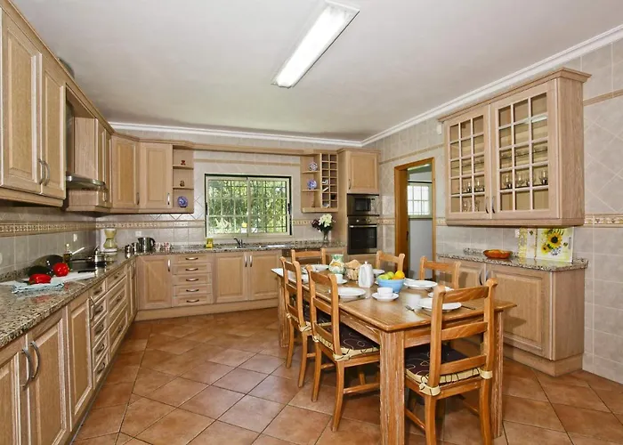 Joao Paulo アルブフェイラ