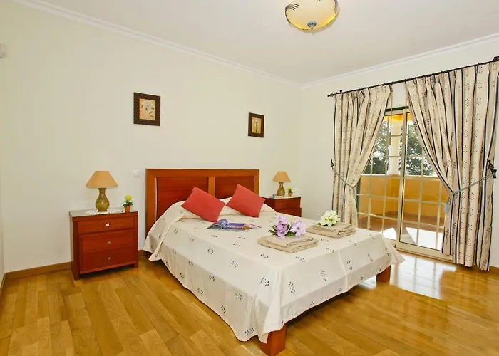 Joao Paulo アルブフェイラ